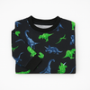 Kids Dinosaur Print Sweatshirt – Black with Green & Blue Dinos
