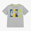 Grey with logo T-Shirt