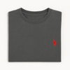 Mens Grey T-Shirt  With Polo Logo