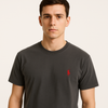 Mens Grey T-Shirt  With Polo Logo