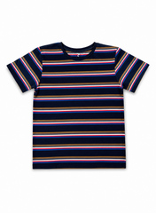 Boys Navy Multi Stripe Cotton T-Shirt